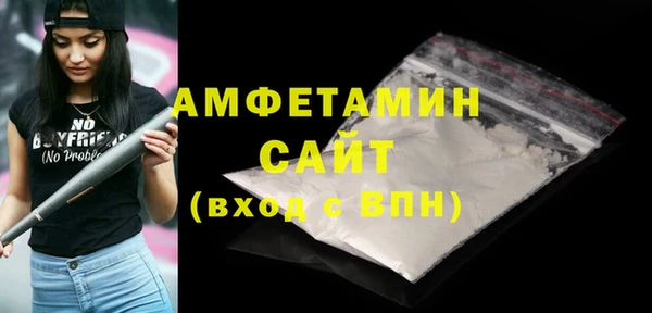 крисы Бронницы
