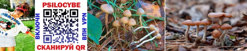 Галлюциногенные грибы Cubensis  сколько стоит  Уссурийск 